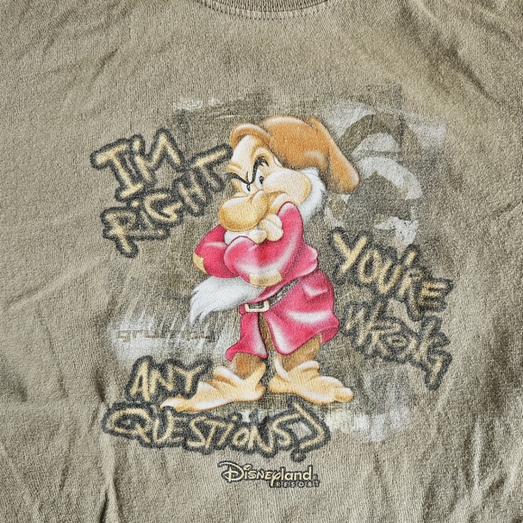 Disneyland Resort Grumpy Graphic Short Sleeve T-Shirt - Picture 2 of 6